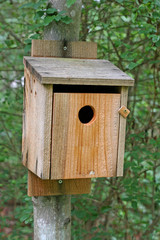 Plank Birdhouse
