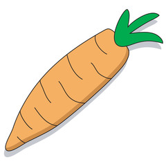 Hand drawn illustration of a carrot