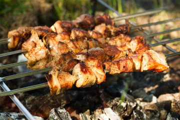 Shishkebab