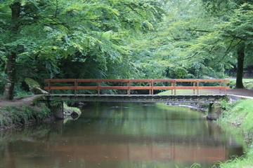 Pont enjambant le lié - lieu-dit de Guette-es-Lièvres (Bretagne)