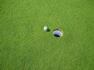 Golf Ball on Golf Green