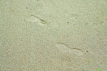 footprints on sand