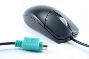Black Mouse