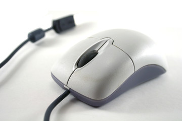 White Mouse