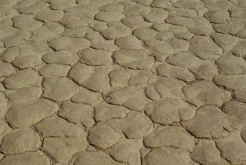 Sol d'argile craquel&eacute; - Deadvlei - Namibie