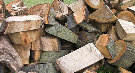 Background of stacked logs