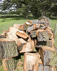 Background of stacked logs