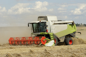 Obraz premium Moisson du blé