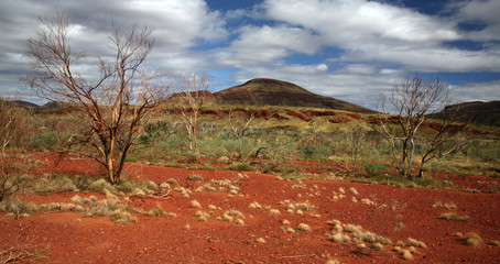 Outback Australien_07_1663