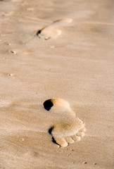 foot prints on the sand