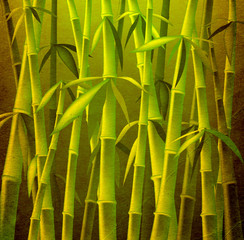 Fototapeta na wymiar design of bamboo trees, illustration background
