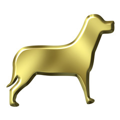 Golden dog