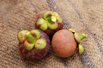 mangosteen on the floors