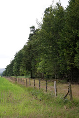 l'or&eacute;e du bois