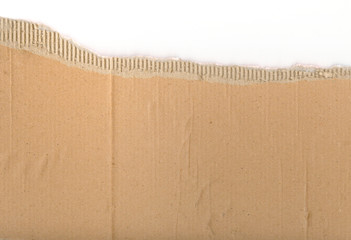 Ripped pieces of corrugated cardboard