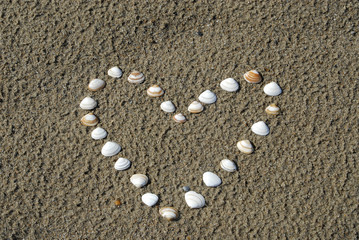 Fototapeta na wymiar coeur en coquillage sur la plage