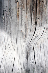old wood pattern