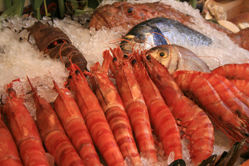 fisch und garnelen