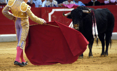 castella-43