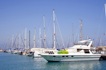 Obraz premium group of white yachts moored at sunny bay.