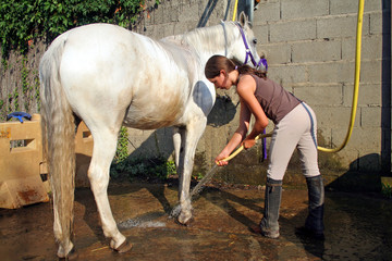 cavalière
