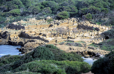 Fototapeta na wymiar Rzymskie ruiny w Tipasa, Algieria