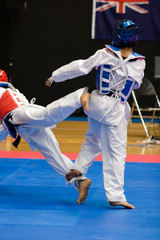 Fototapeta premium Martial arts competitors in action
