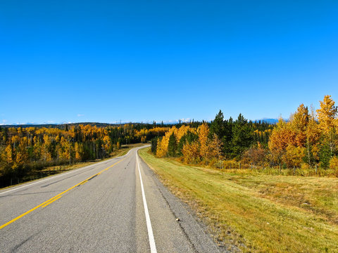 Rural Autumn