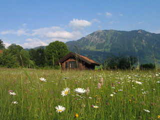H&uuml;tte im Allg&auml;u
