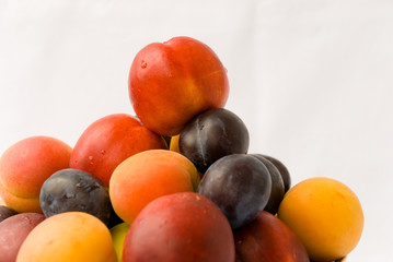 mixed fruit arrangement-bowl 4