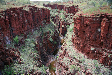 Blick in eine Gorge Australien_07_1735