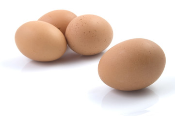 Eggs from Hen