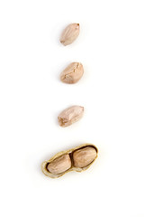 Grounds Nuts Exposed with shell on white background