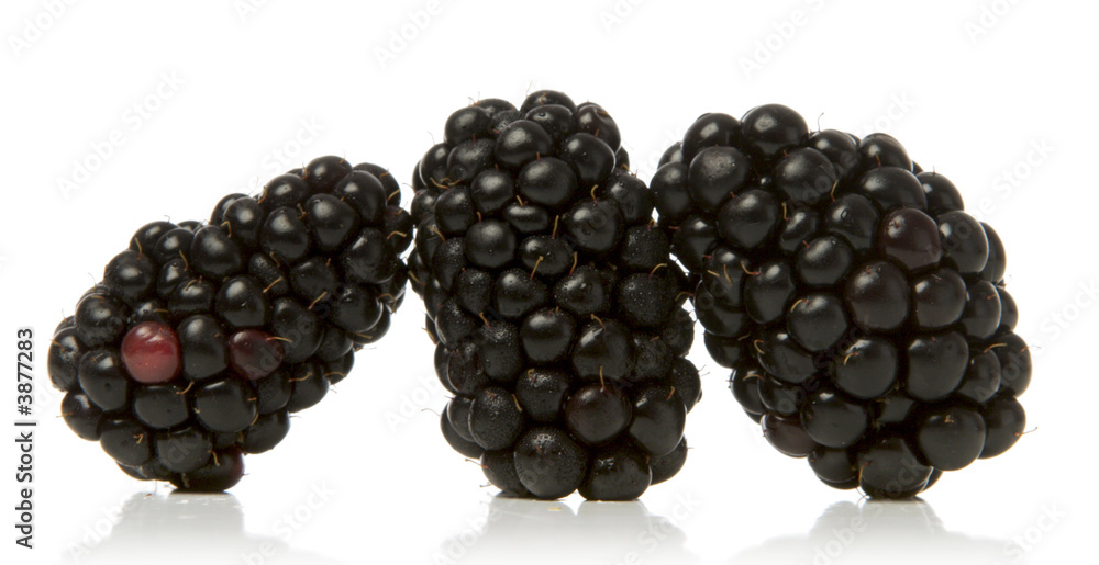 Wall mural blackberries isolated over white background