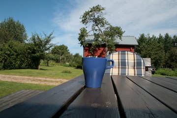 kaffeetasse