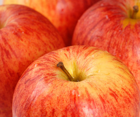 Fototapeta na wymiar A closeup of four ripe Gala apples