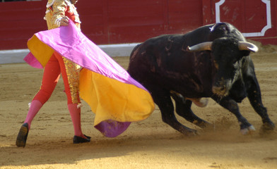 el cid-05