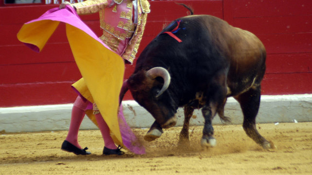 el cordobes-03