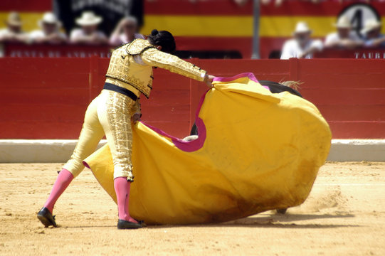 morante-213