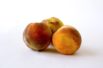 pesche