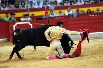 Selbstklebende Fototapeten el fandi-206 © Paco Ayala