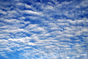 Cloudy Sky