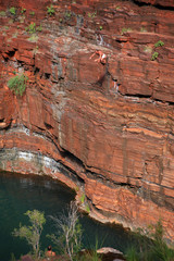 Springer Australien_07_1790