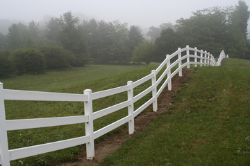 Fototapeta na wymiar Horse Fence