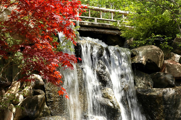 A closeup of a waterfall in a colorful country setting