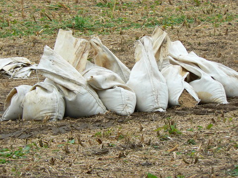 Sands&auml;cke Oderflut