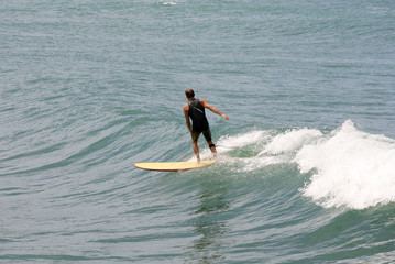 Fototapeta na wymiar surfować longboard