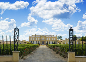 Vineyard and winery near bordeaux