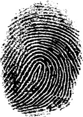 Fingerprint 