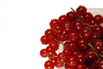 Currant